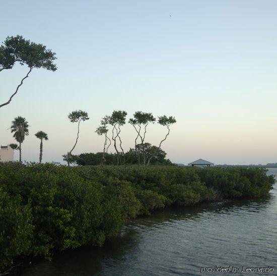 Tradewinds Resort By Resortquest Bradenton Beach Eksteriør bilde
